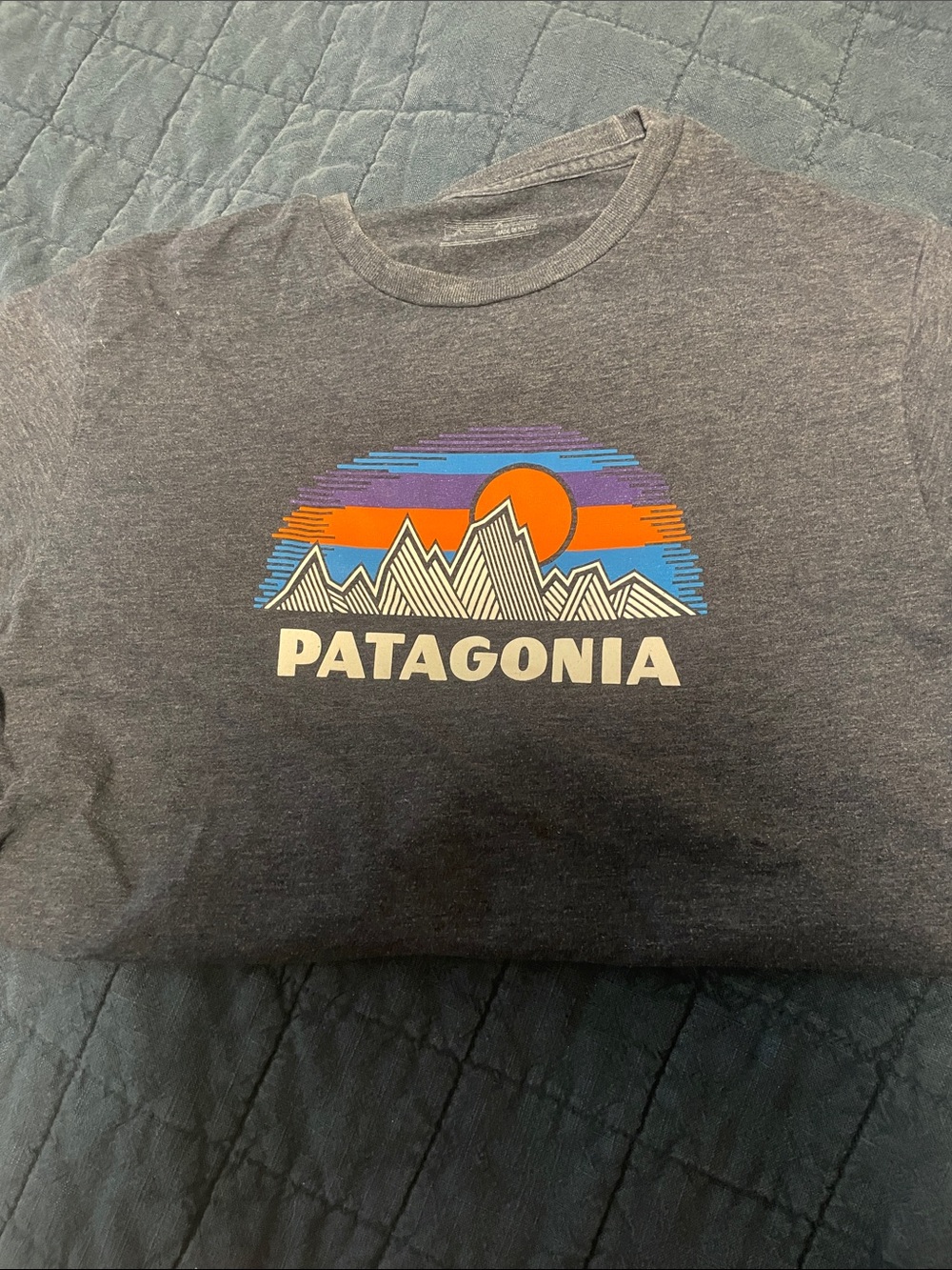 Patagonia Kids Short-Sleeve Tee in Charcoal with Sunset Graphic